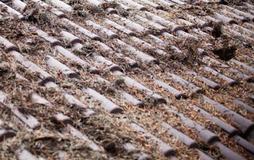 Ormesby St Margaret roof cleaning companies